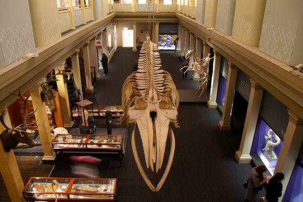 af erklære Alle Top 5 Museums in Sydney, Australia - Must Visit Museums