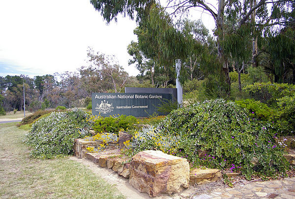 Australian-National-Botanic