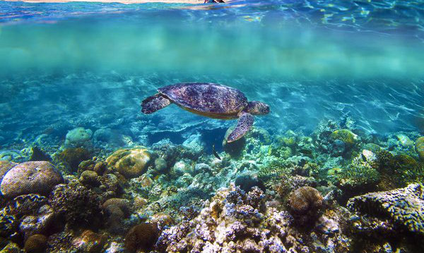 Ningaloo-Coast