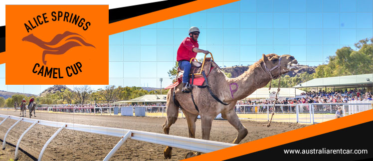 Alice Springs Camel Cup, Northern Territory – 20 July 2019