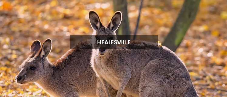 Healesville