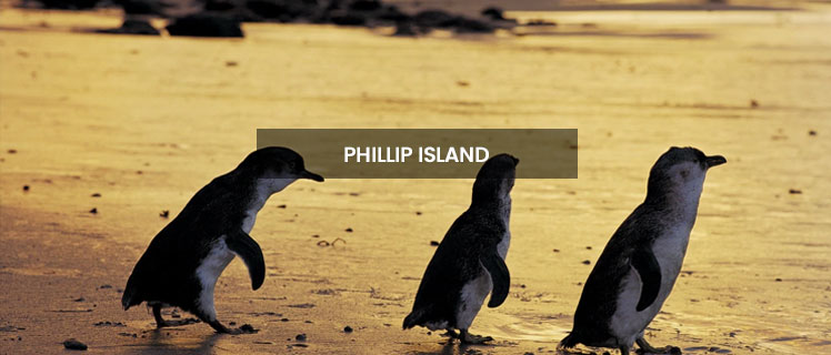 Philip Island