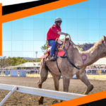 Alice Springs Camel Cup, Northern Territory – 20 July 2019