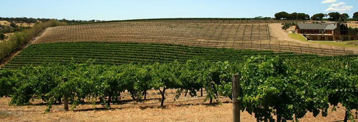 Barossa Valley