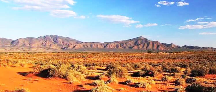 Ikara-Flinders Ranges National Park