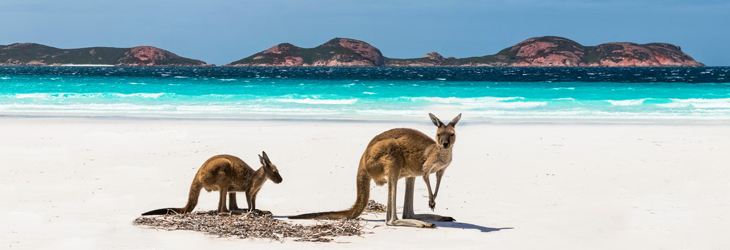 Kangaroo Island