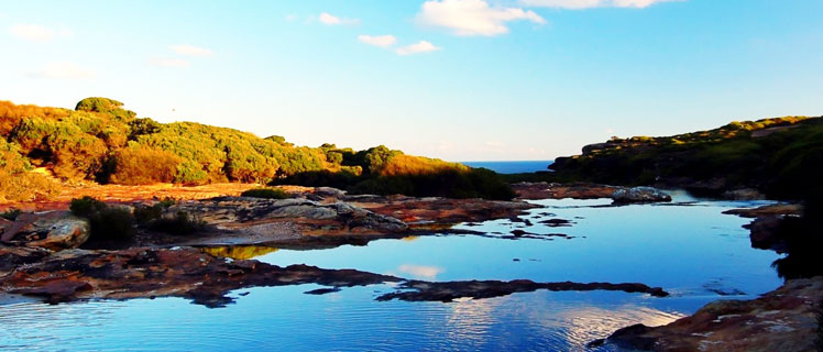 Royal National Park